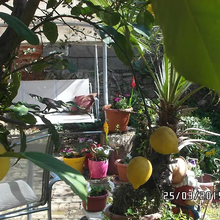 Apartament House Side