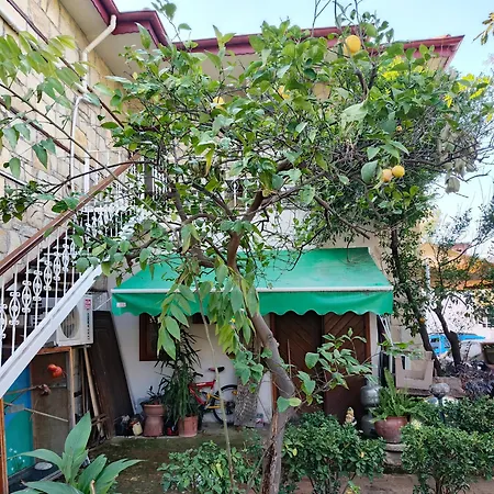 House Apartment Side