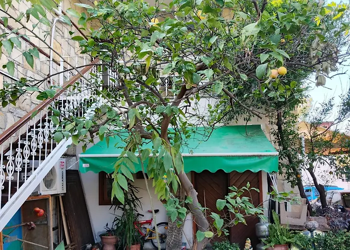 House شقة سيدي