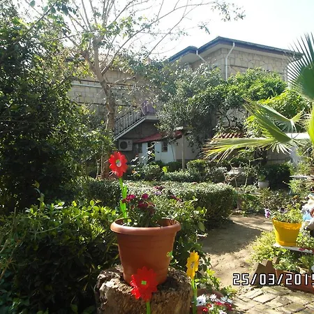 House * Side
